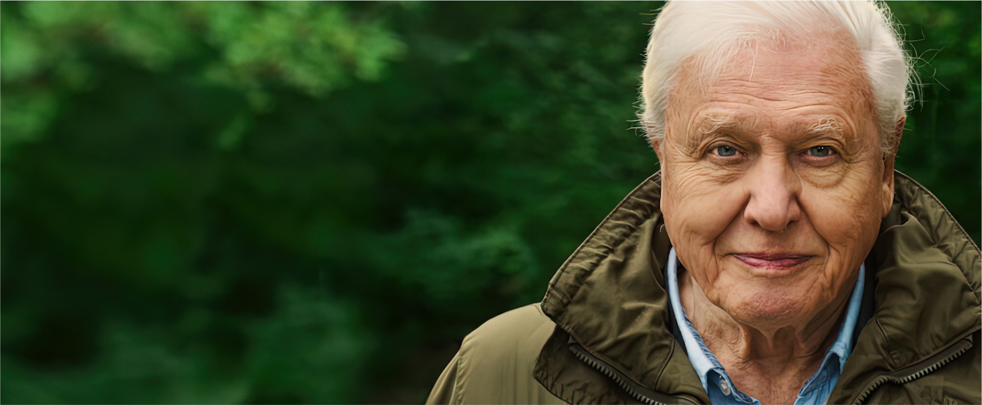 EZ Movie ดูหนังฟรี ไม่มีโฆษณา ภาพโลโก้ David Attenborough A Life on Our Planet | Netflix (2020) เดวิด แอทเทนเบอเรอห์ ชีวิตบนโลกนี้